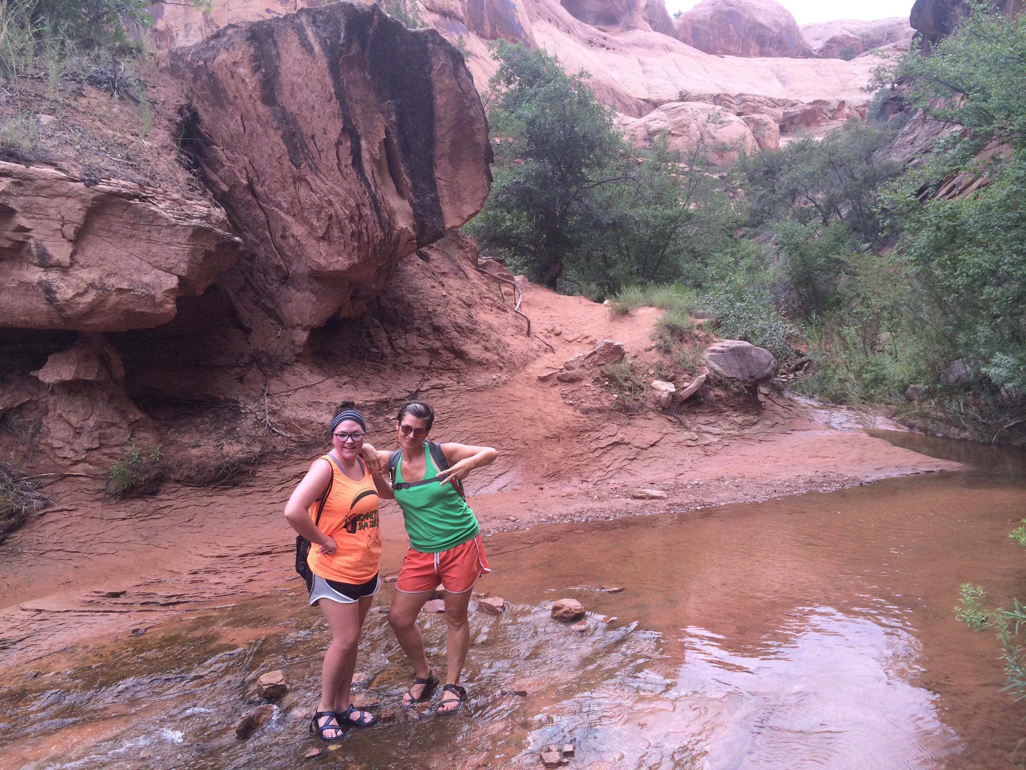 Camper submitted image from Drinks Canyon Camping Area - 5