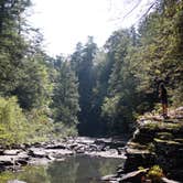 Review photo of Fall Creek Falls State Park Campground by Brittany S., June 22, 2016