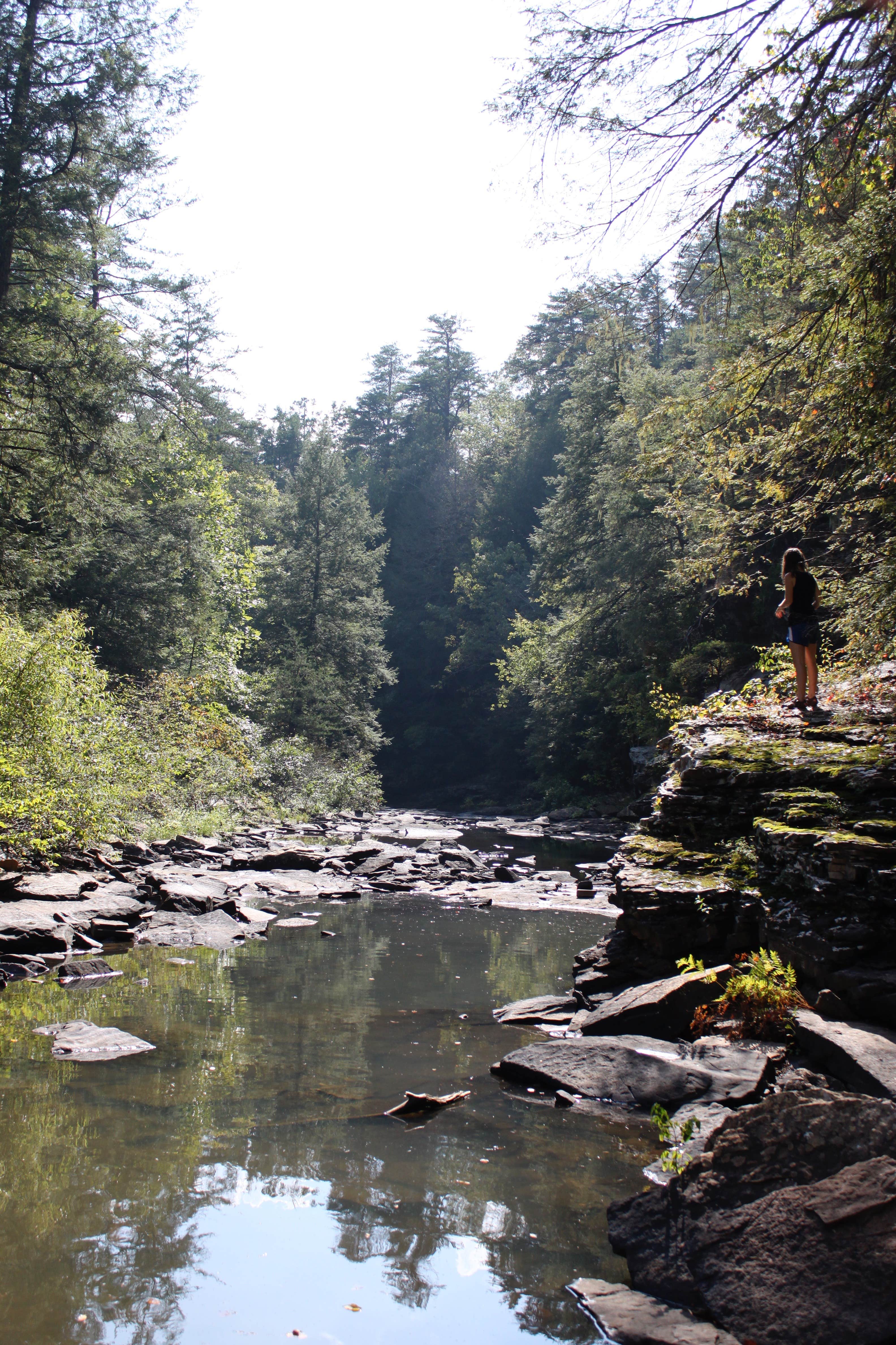 Camper submitted image from Fall Creek Falls State Park Campground - 3