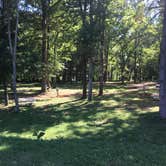 Review photo of Prizer Point Marina & Resort by Shelly S., June 28, 2017