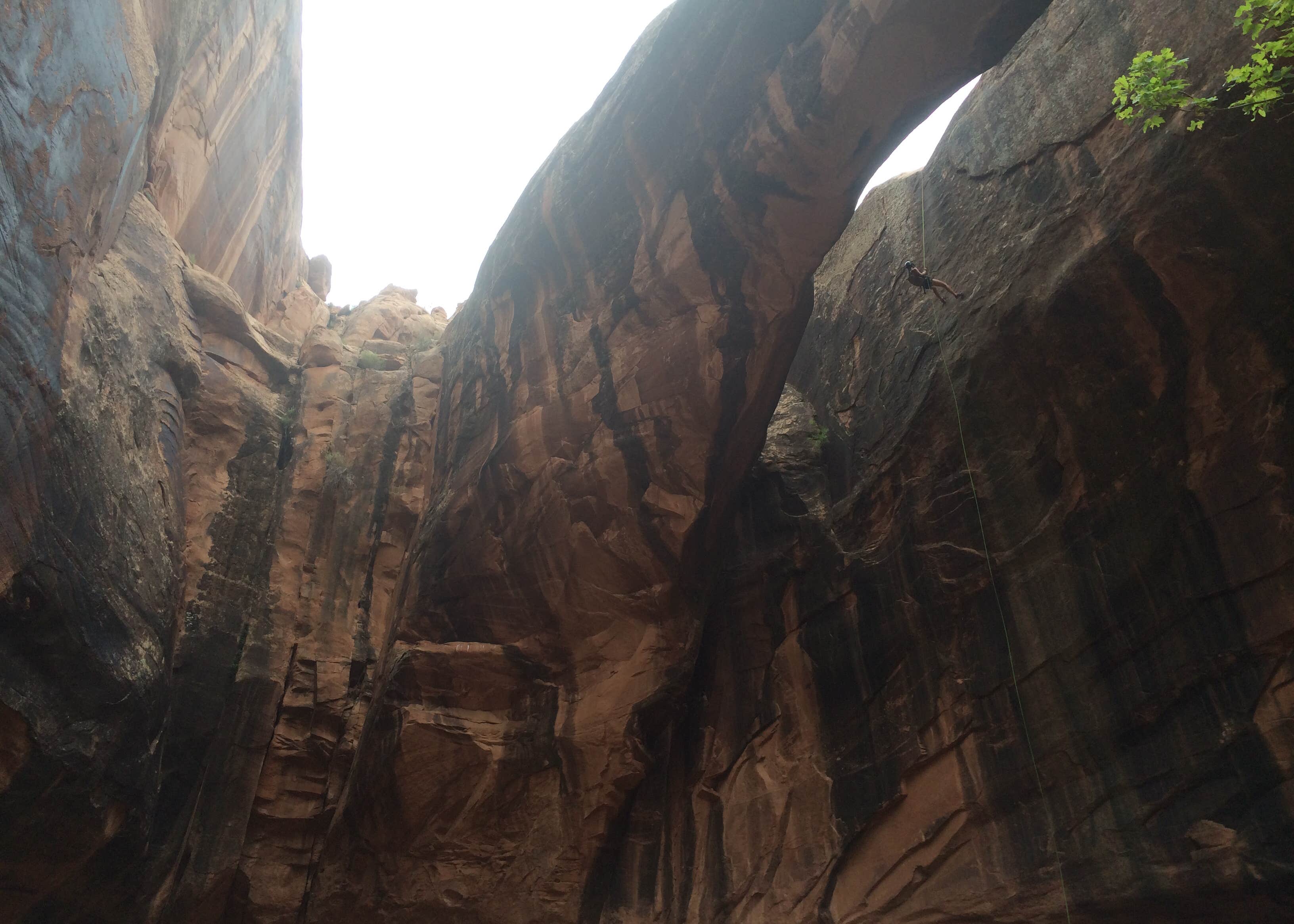 Upper Big Bend Campground Camping The Dyrt