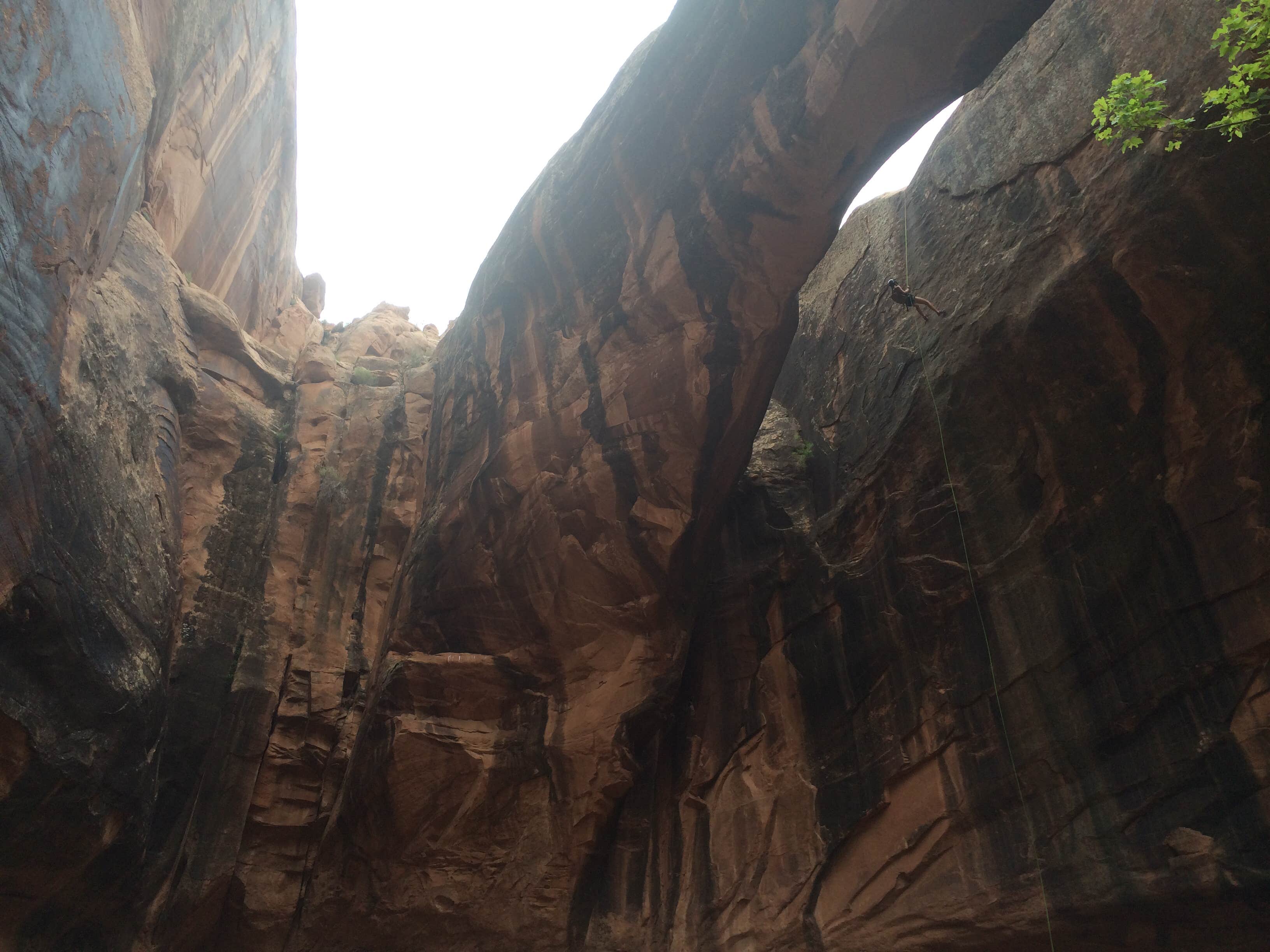 Camper submitted image from Upper Big Bend Campground - 1