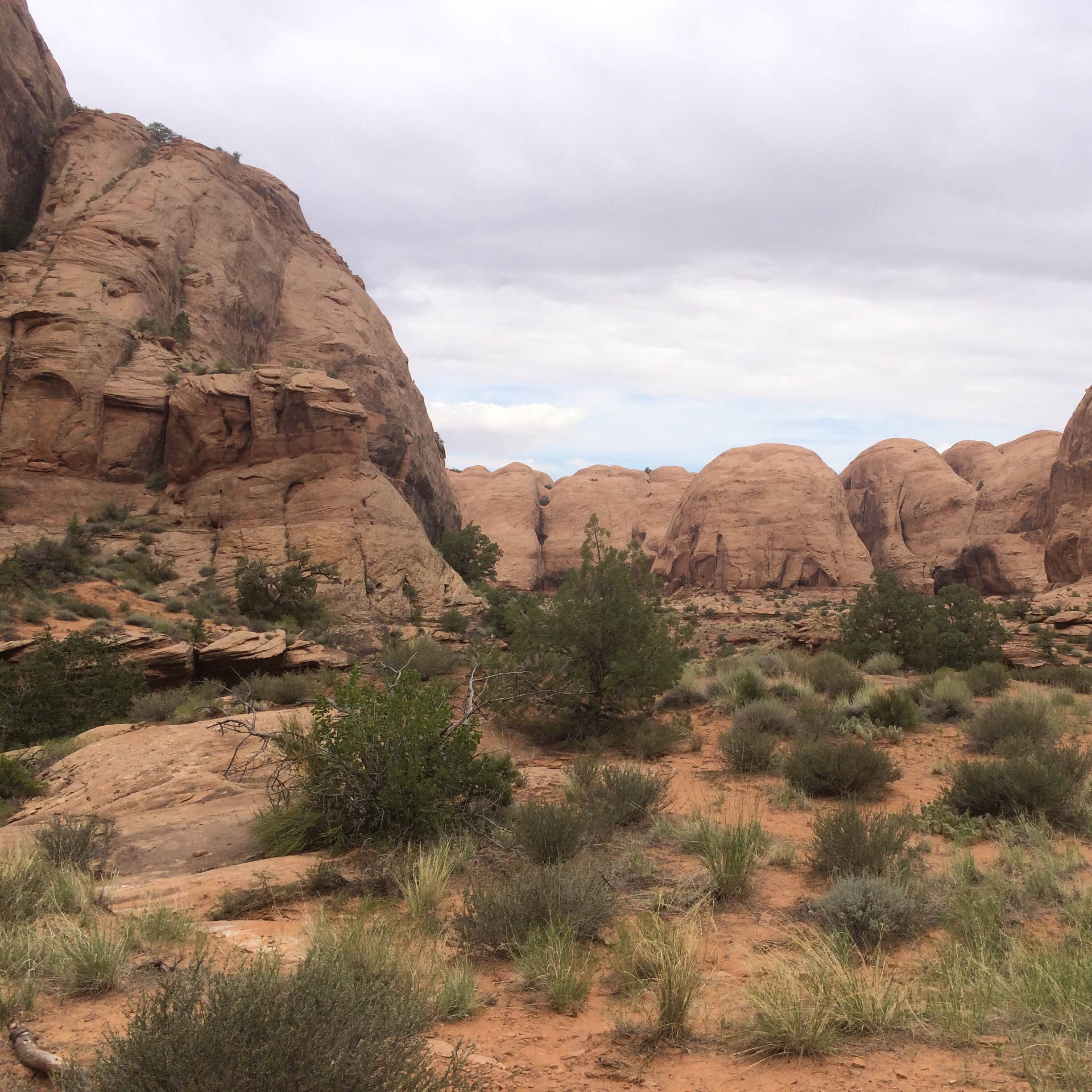 Upper Big Bend Campground Camping The Dyrt