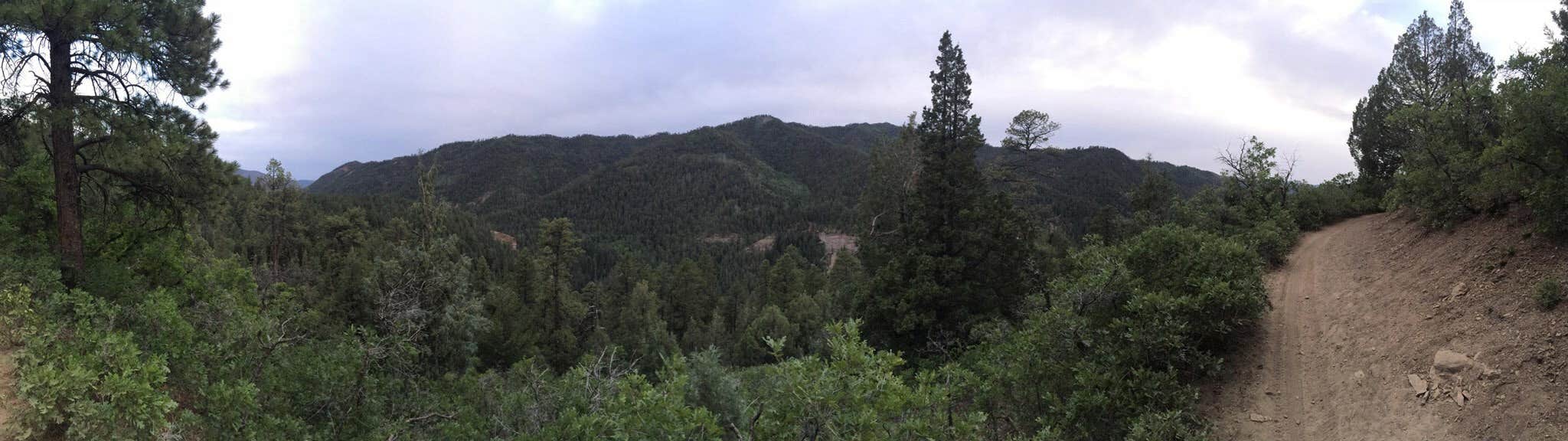 Camper-submitted photo at Lower Hermosa Campground near San Juan National Forest