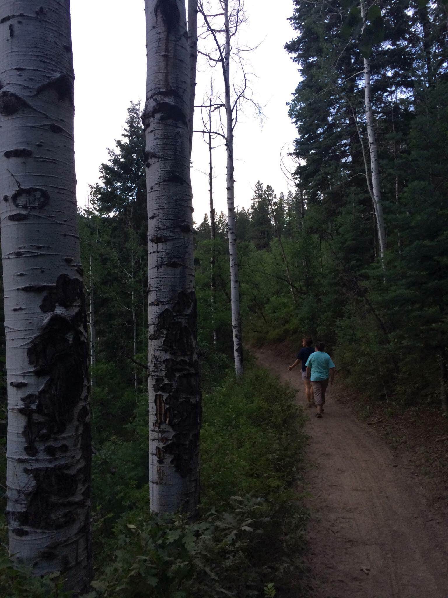 Camper-submitted photo at Lower Hermosa Campground near San Juan National Forest