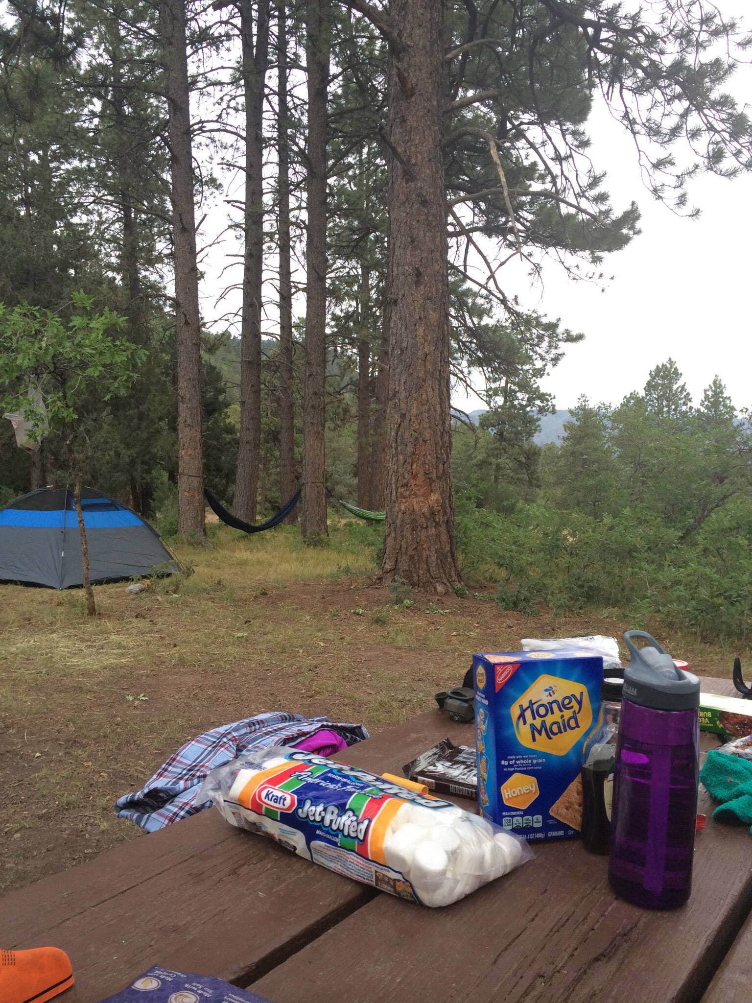 Camper-submitted photo at Lower Hermosa Campground near San Juan National Forest