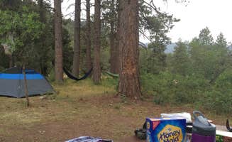 Madison G.'s photo at Lower Hermosa Campground near San Juan National Forest