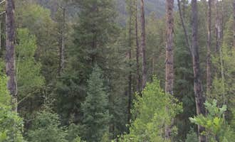 Camping near Junction West Durango Riverside Resort: Lower Hermosa Campground, San Juan National Forest, Colorado