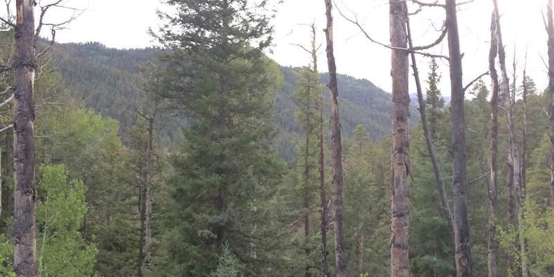 Camper submitted image from Lower Hermosa Campground