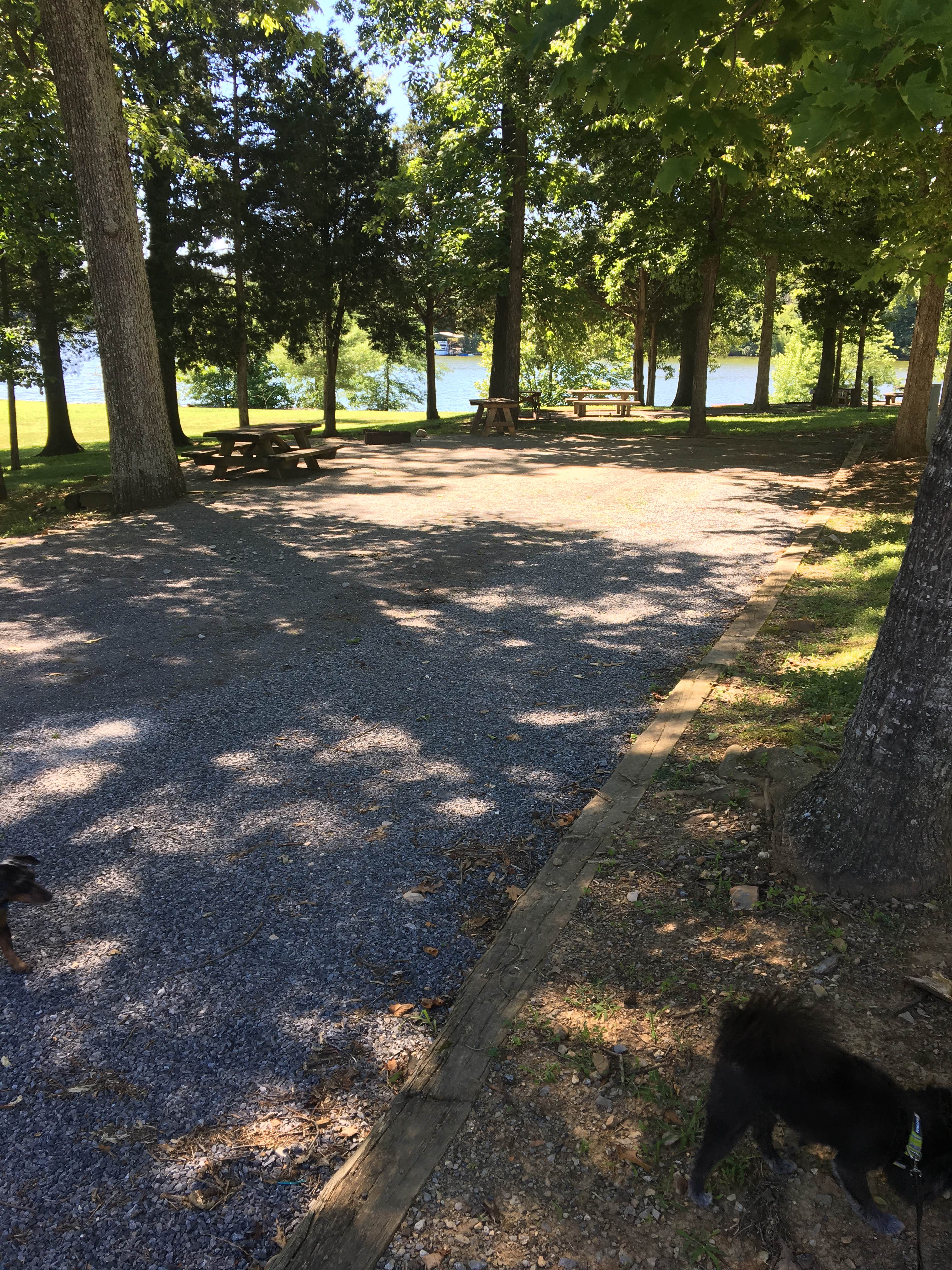 Camper submitted image from Hurricane Creek - 4