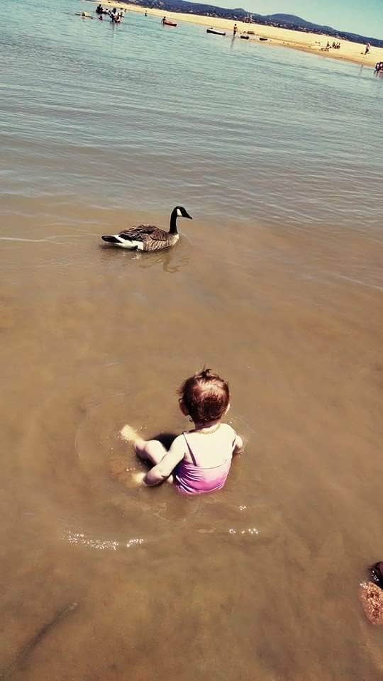 Camper submitted image from Beals Point Campground — Folsom Lake State Recreation Area - 3