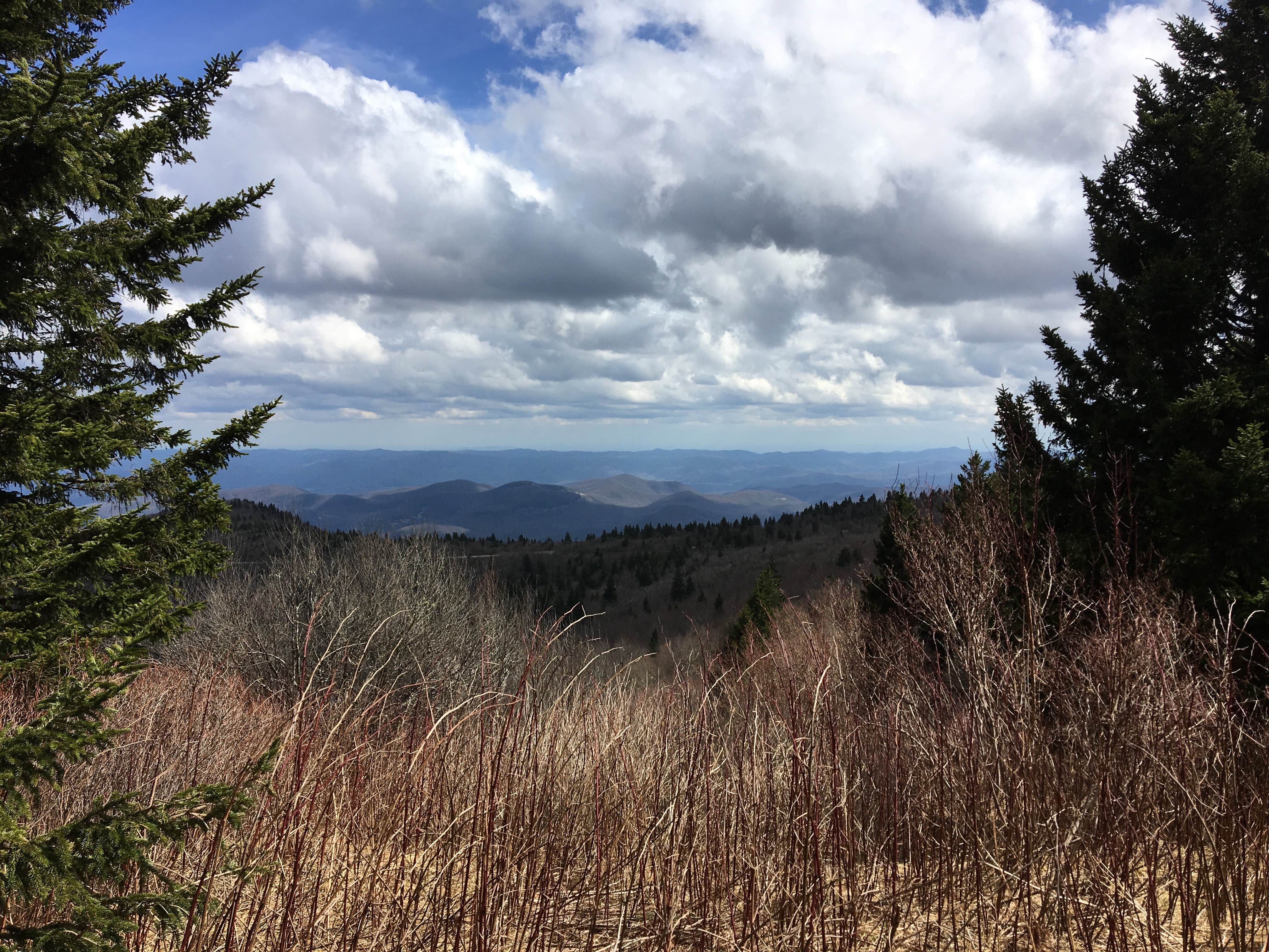 Camper submitted image from Lake Powhatan — National Forests In North Carolina - 2