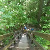 Review photo of Bandy Creek Campground — Big South Fork National River and Recreation Area by Shelly S., July 1, 2016