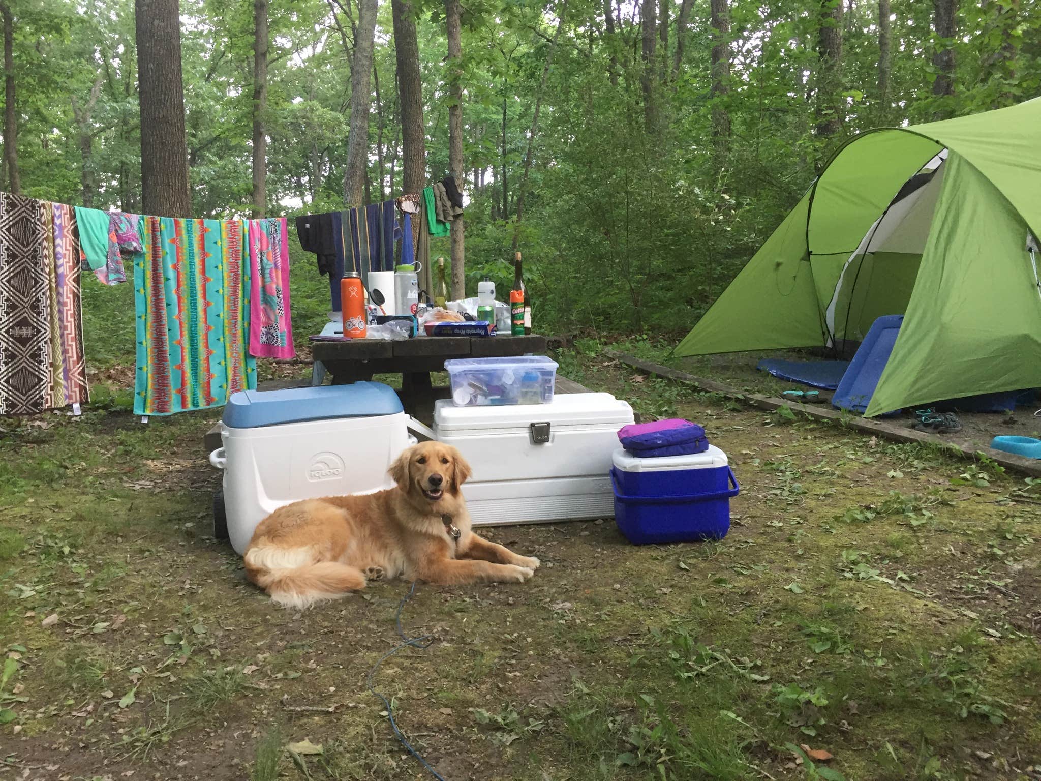 Angel K.'s photo at Morris Hill Campground near Warm Springs, VA