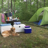 Review photo of Morris Hill Campground by Angel K., June 22, 2016