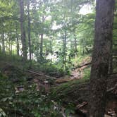 Review photo of Nolin Lake State Park Campground by Shelly S., September 28, 2016