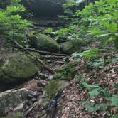 Review photo of Nolin Lake State Park Campground by Shelly S., September 28, 2016