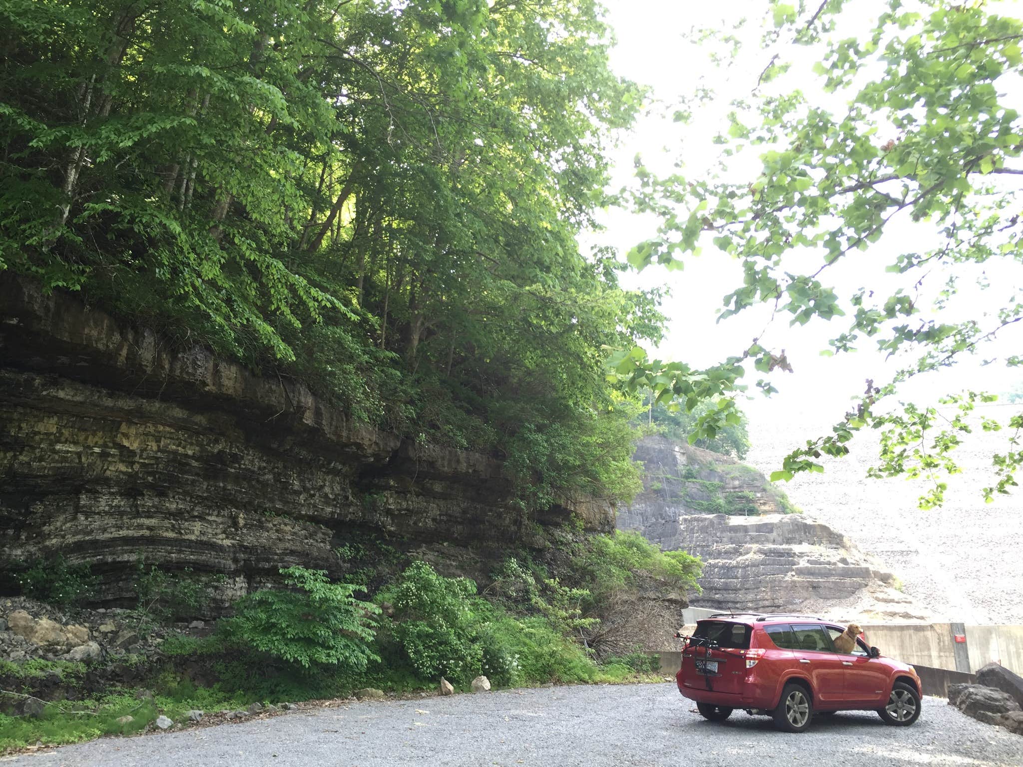 Camper submitted image from Morris Hill Campground - 4