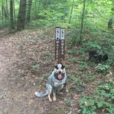 Review photo of Nolin Lake State Park Campground by Shelly S., September 28, 2016