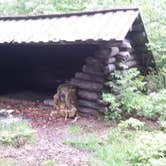 Review photo of Camden Hills State Park Campground by Joshua B., June 29, 2017