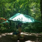 Review photo of Bandy Creek Campground — Big South Fork National River and Recreation Area by Shelly S., July 28, 2016