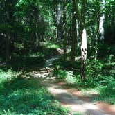 Review photo of Fort Yargo State Park Campground by A Lane in the Woods , June 29, 2017