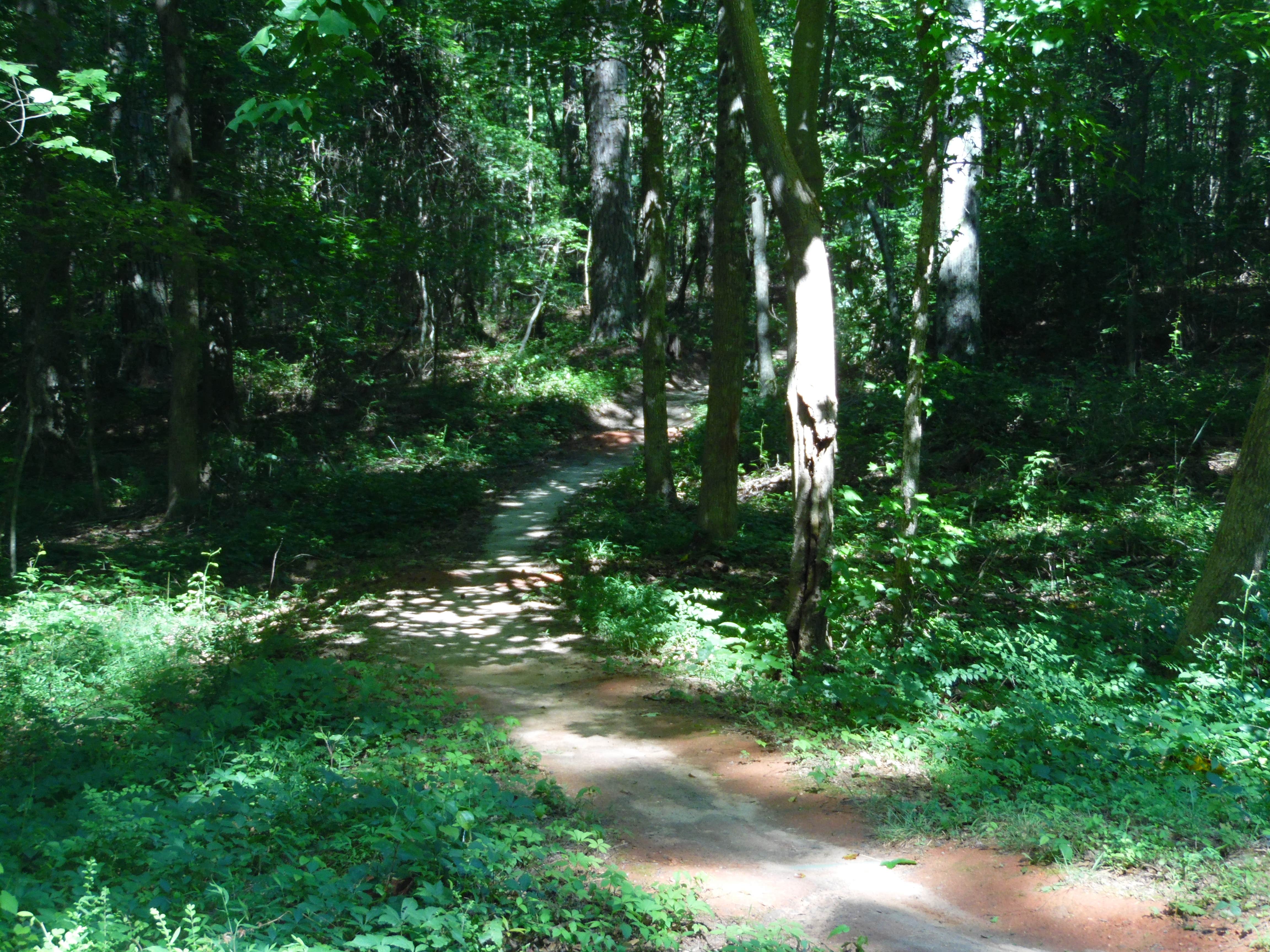 Camper submitted image from Fort Yargo State Park Campground - 5