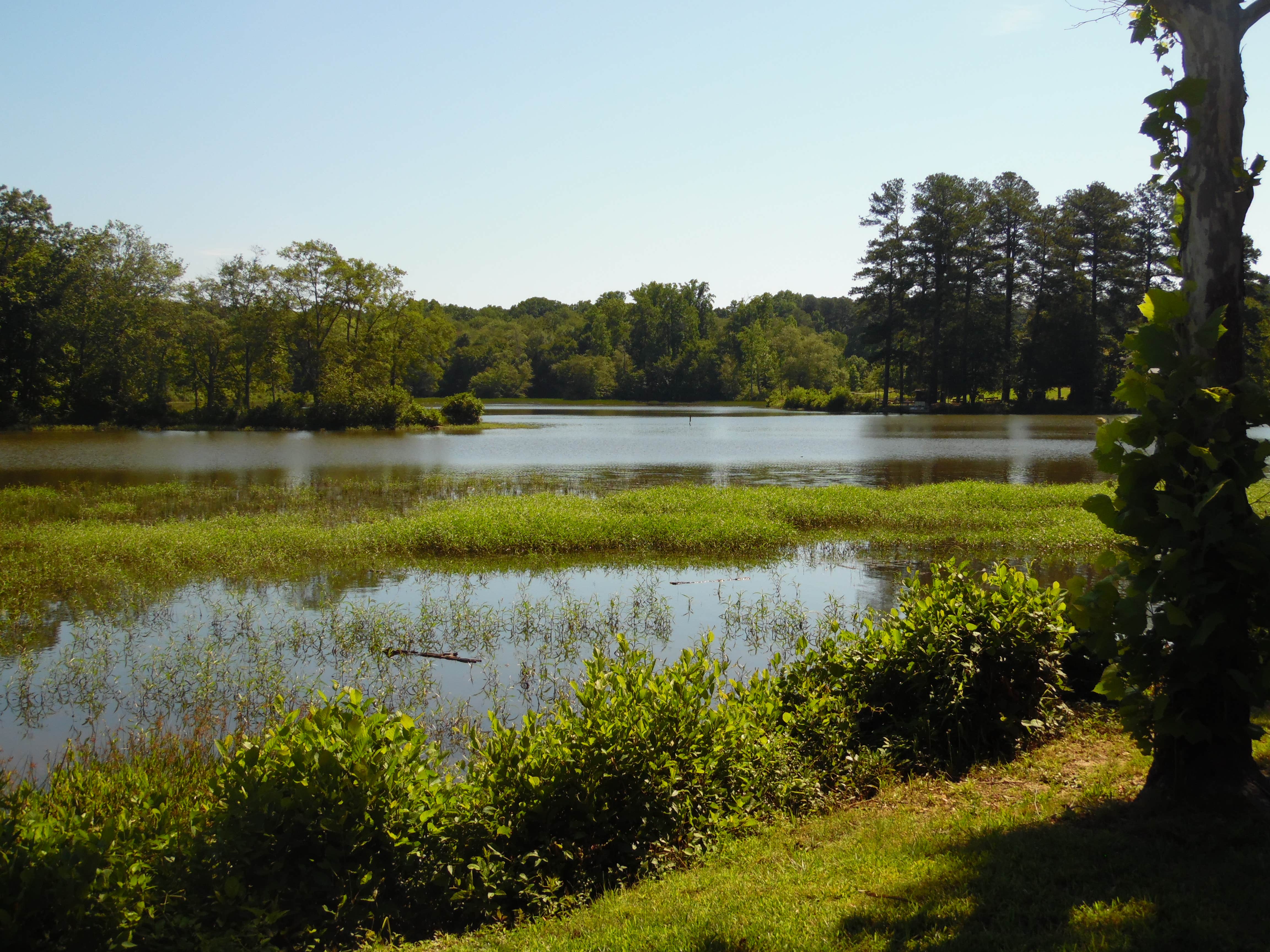 Escape To History: Uncover The Secrets Of Fort Yargo State Park