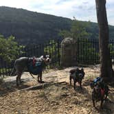 Review photo of Cloudland Canyon State Park Campground by Shelly S., June 14, 2017