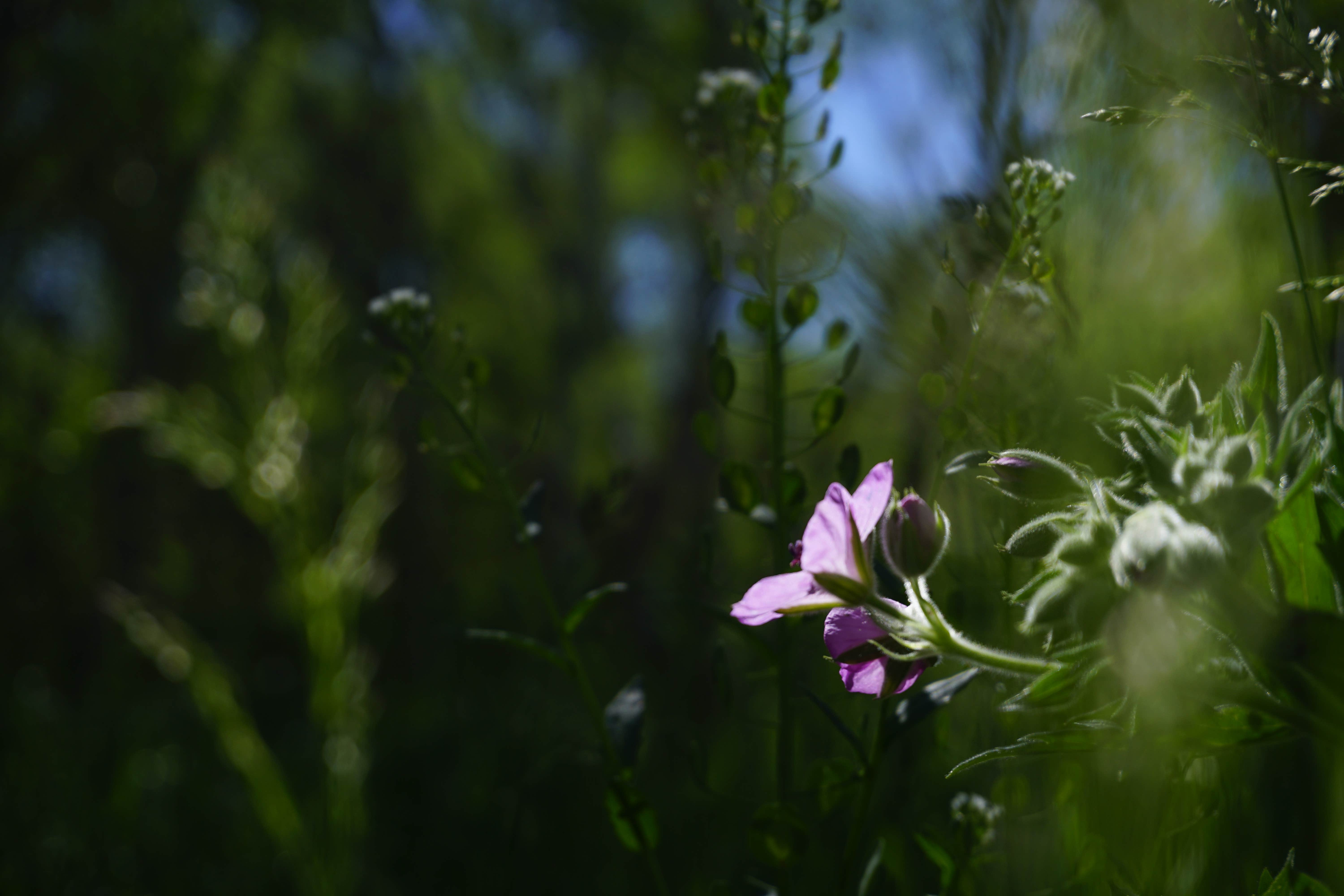 Camper-submitted photo at East Creek Campground near Spencer, ID