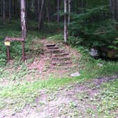 Review photo of Lyman Run State Park Campground by Joshua L., June 29, 2017