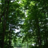 Review photo of Lyman Run State Park Campground by Joshua L., June 29, 2017
