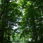 Review photo of Lyman Run State Park Campground by Joshua L., June 29, 2017
