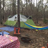 Review photo of Poinsett State Park Campground by Angel K., June 22, 2016