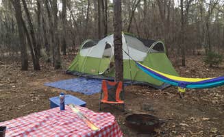 Angel K.'s photo at Poinsett State Park Campground near Summerton, SC