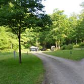 Review photo of Lyman Run State Park Campground by Joshua L., June 29, 2017