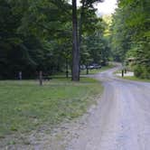 Review photo of Lyman Run State Park Campground by Joshua L., June 29, 2017