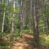 Review photo of Hills Creek State Park Campground by Joshua L., June 29, 2017