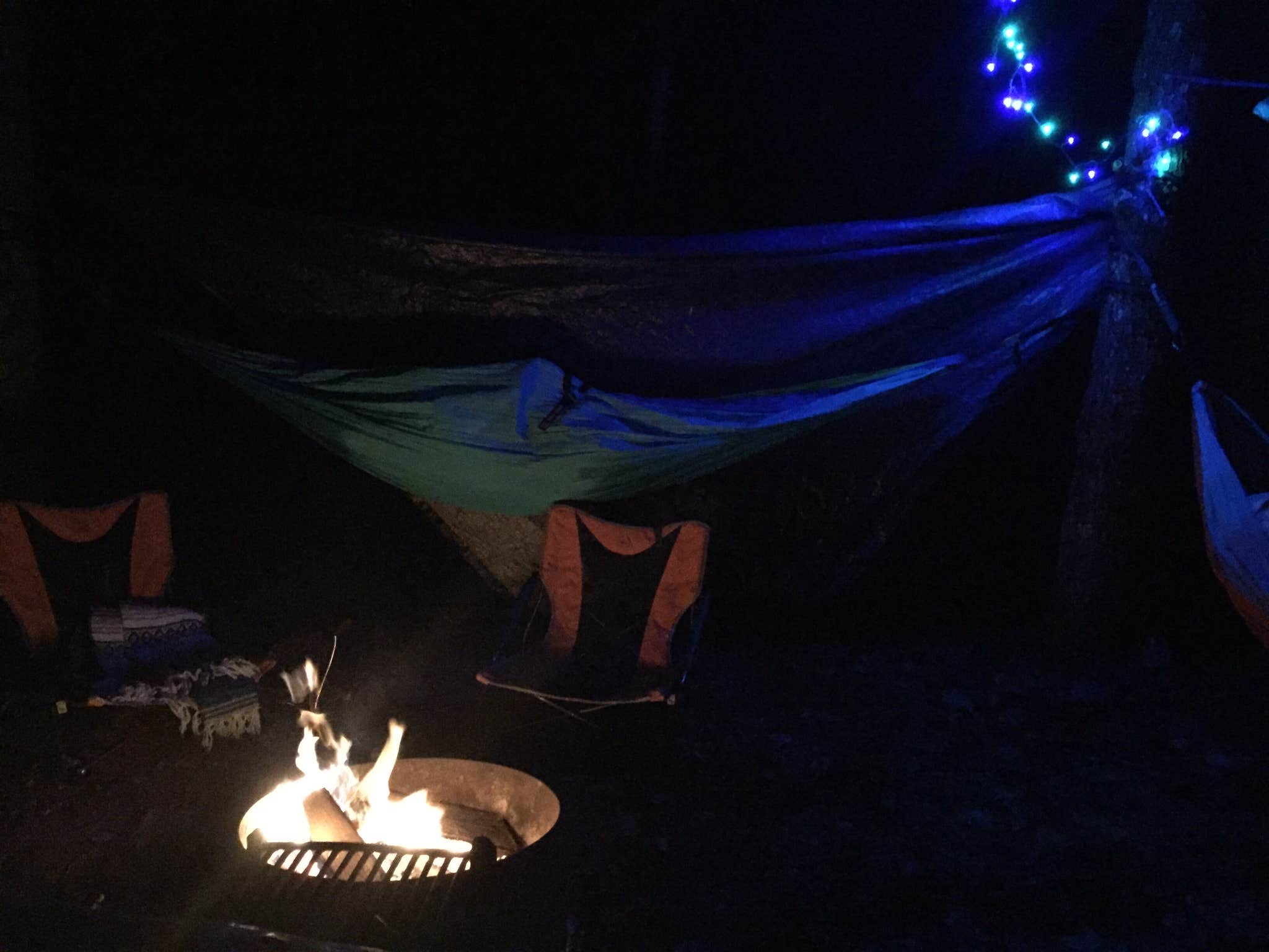 Angel K.'s photo at Poinsett State Park Campground near Gadsden, SC