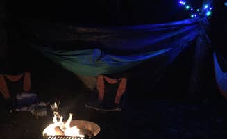 Angel K.'s photo at Poinsett State Park Campground near West Columbia, SC