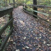 Review photo of Longleaf Campground — Congaree National Park by SwitchbackKids , June 29, 2017