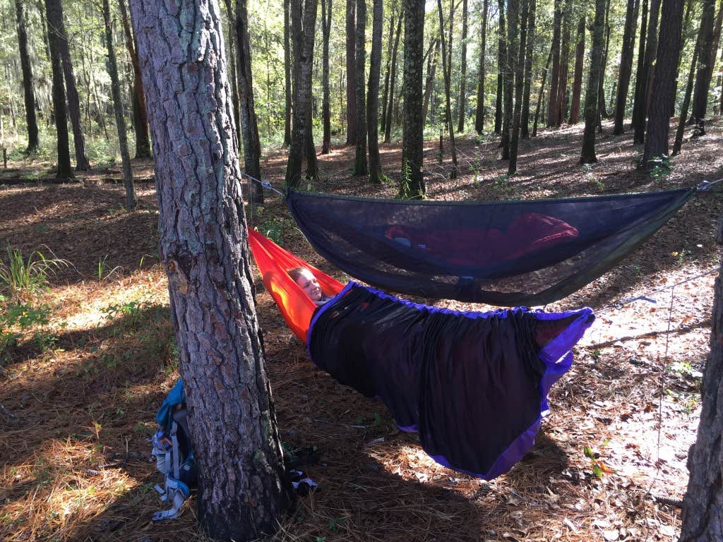 SwitchbackKids's photo at Longleaf Campground — Congaree National Park near Blythewood, SC