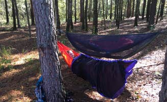 SwitchbackKids's photo at Longleaf Campground — Congaree National Park near Blackville, SC