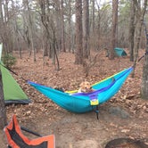 Review photo of Poinsett State Park Campground by Angel K., June 22, 2016