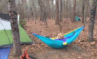 Angel K.'s photo at Poinsett State Park Campground near Gadsden, SC