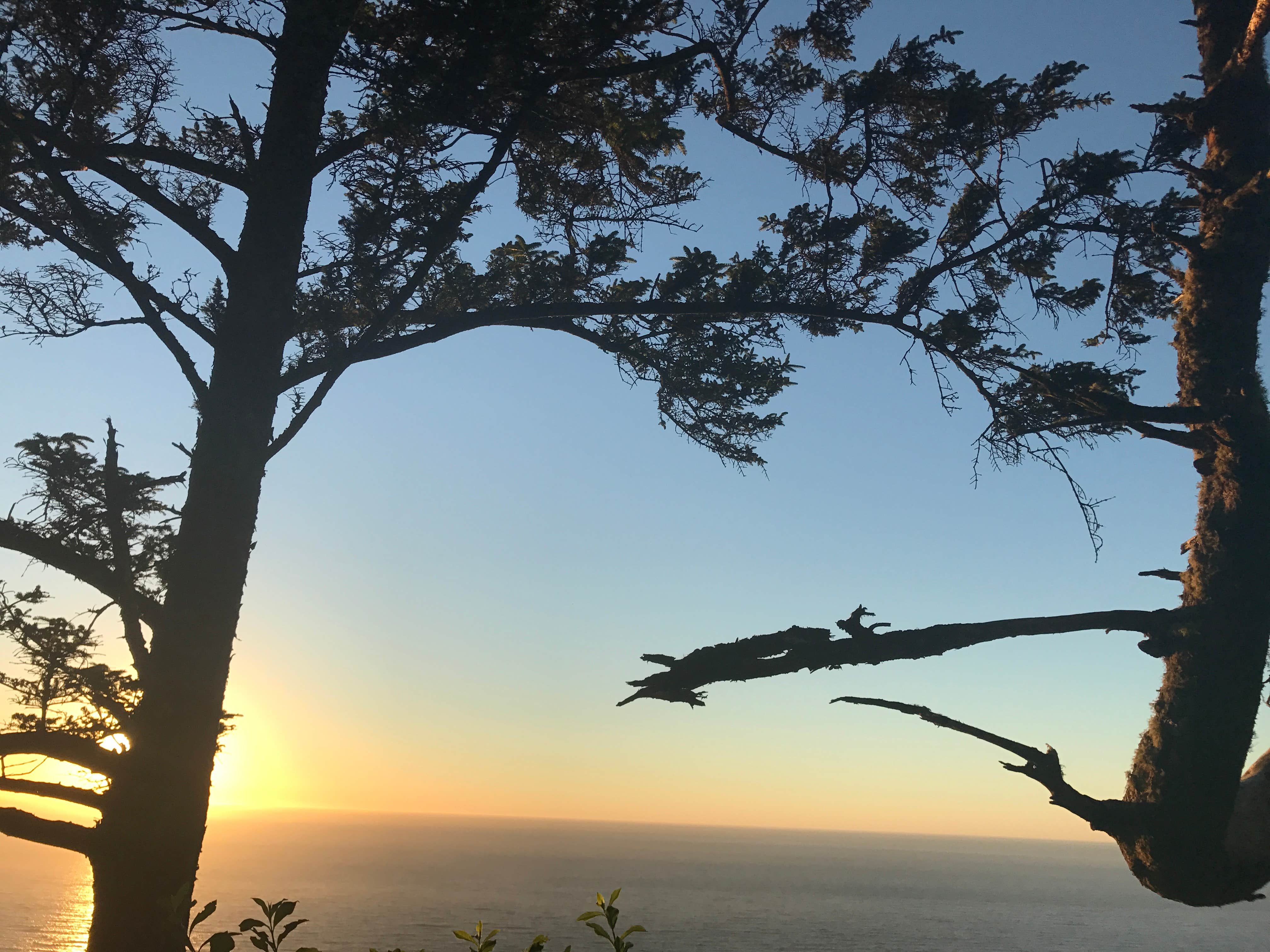 Camper-submitted photo at Old Mill RV Resort near Cannon Beach, OR