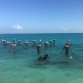 Review photo of Garden Key Campground — Dry Tortugas National Park by SwitchbackKids , June 29, 2017