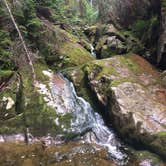 Review photo of Zealand Campground by Madison G., June 29, 2017