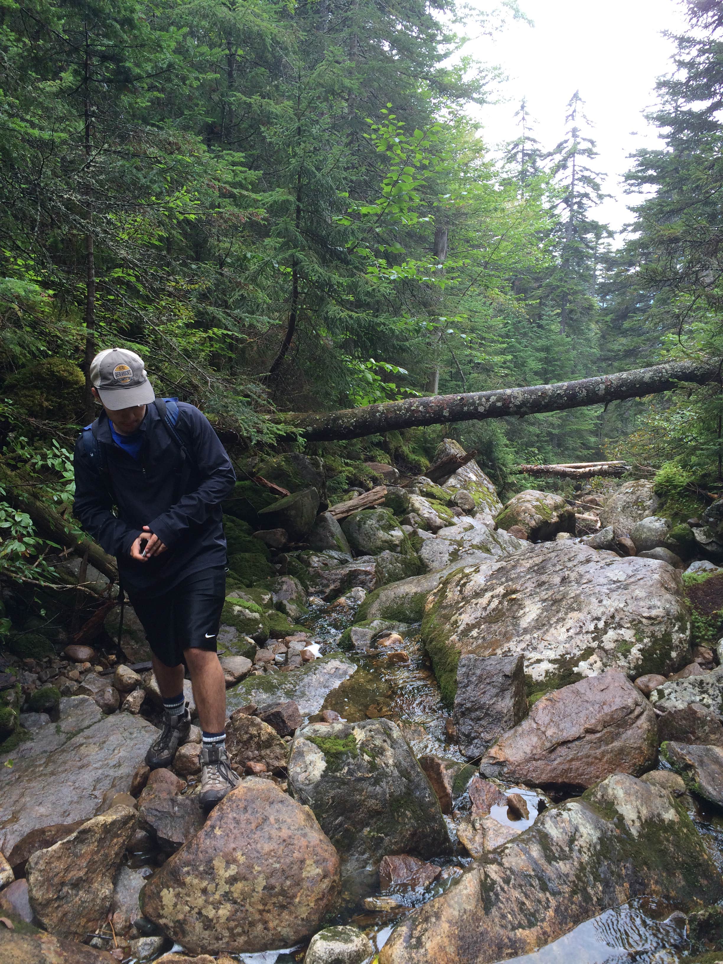 Camper-submitted photo at Zealand Campground near Twin Mountain, NH