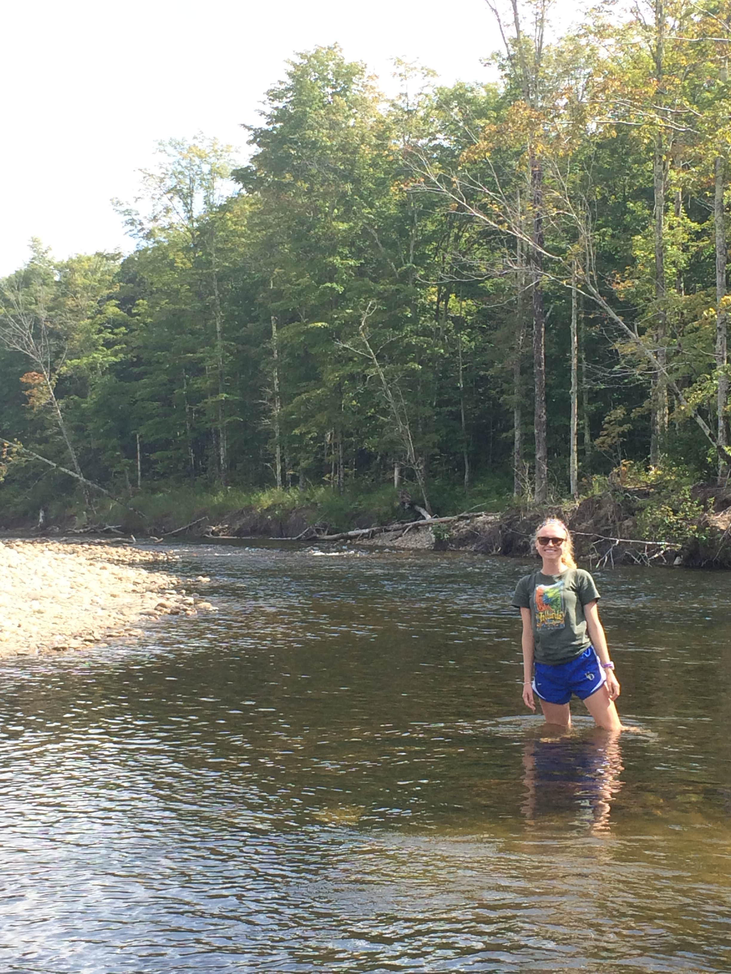 Camper-submitted photo at Zealand Campground near Twin Mountain, NH